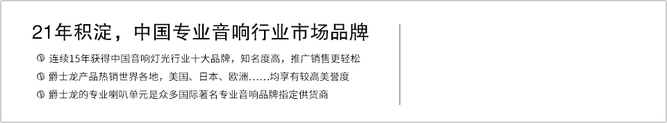 21年積淀，中國(guó)專(zhuān)業(yè)音響行業(yè)市場(chǎng)品牌